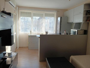 Apartment Andri